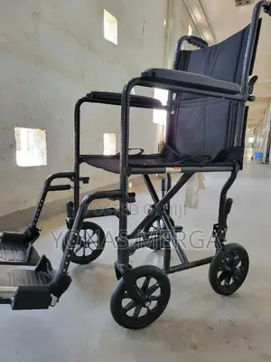Aluminum Transport Wheelchair盅嶲with Swing Away Footrests会台wheelchair
