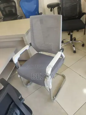 Office Gusts Chair(Silver Color)