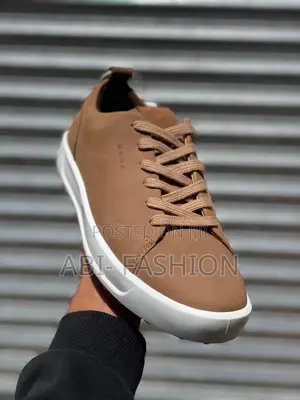Ecco Mens Shoe