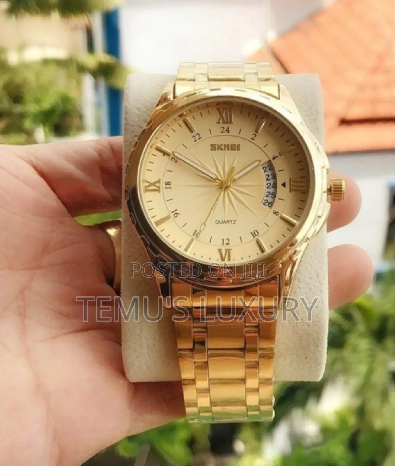 Semei Mens Luxury Quartz Watch