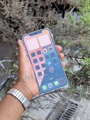 Apple iPhone 12 Pro Max 256 GB
