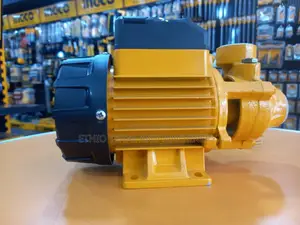 Ingco 0.5 Hp Pump