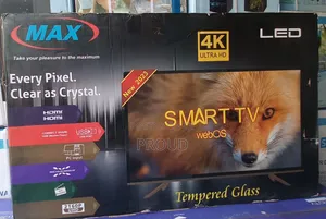 Max 55 Inch Tv