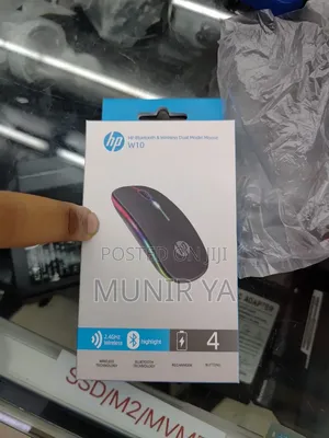 Computer Mouse