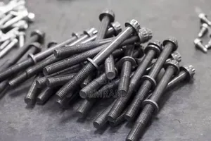 Orginal Bolt (ብሎን)