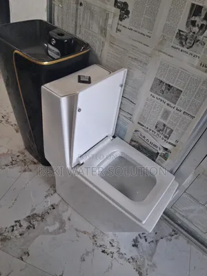 Gold Dragon Toilet