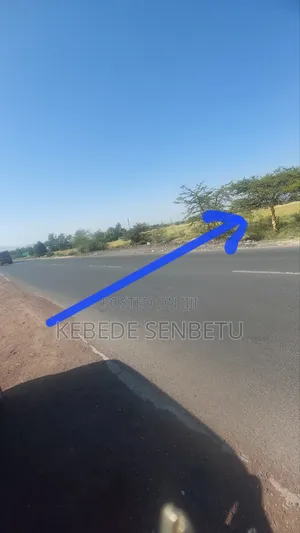 Plot Land For Sale