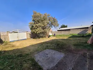 Land in Asella
