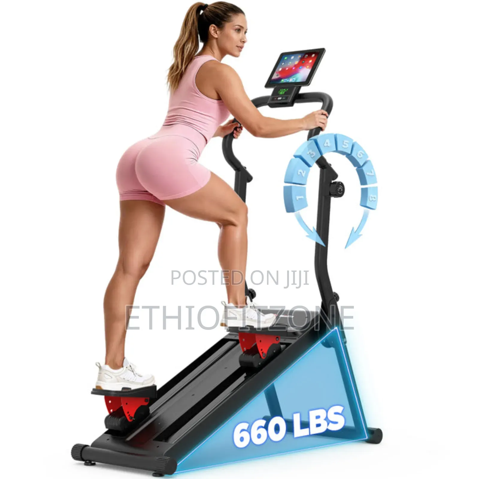 Exercise Steppers