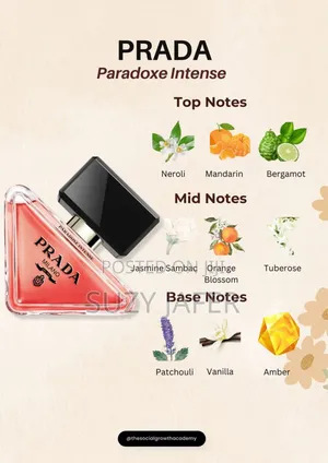 Prada Paradoxe
