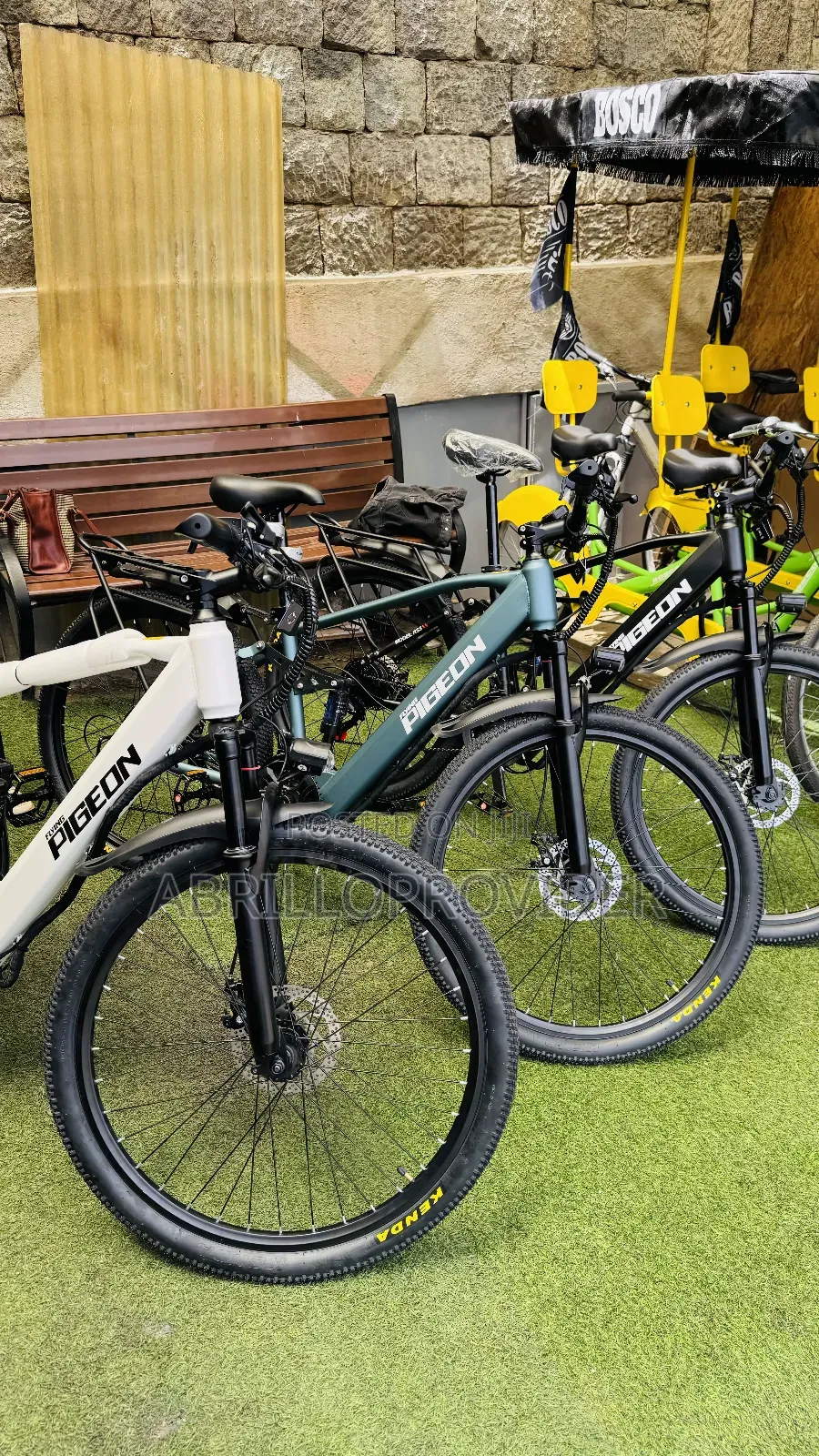 Electric Bicycle