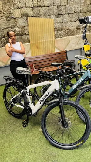 Electric Bicycle