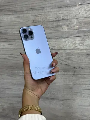 Apple iPhone 13 Pro Max 256 GB