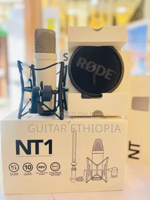 Studio Mic