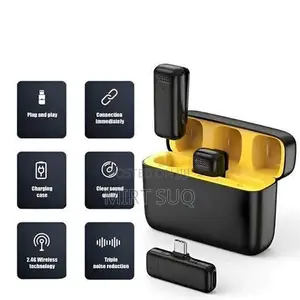 Amazing Quality Professional Mini Wireless Mircrophone