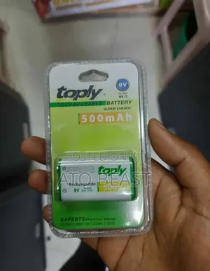 Toply 9v Rechargeable Battery.