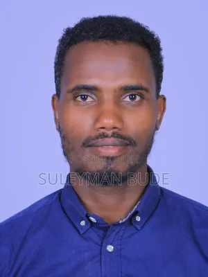 Mr Suleyman Bude