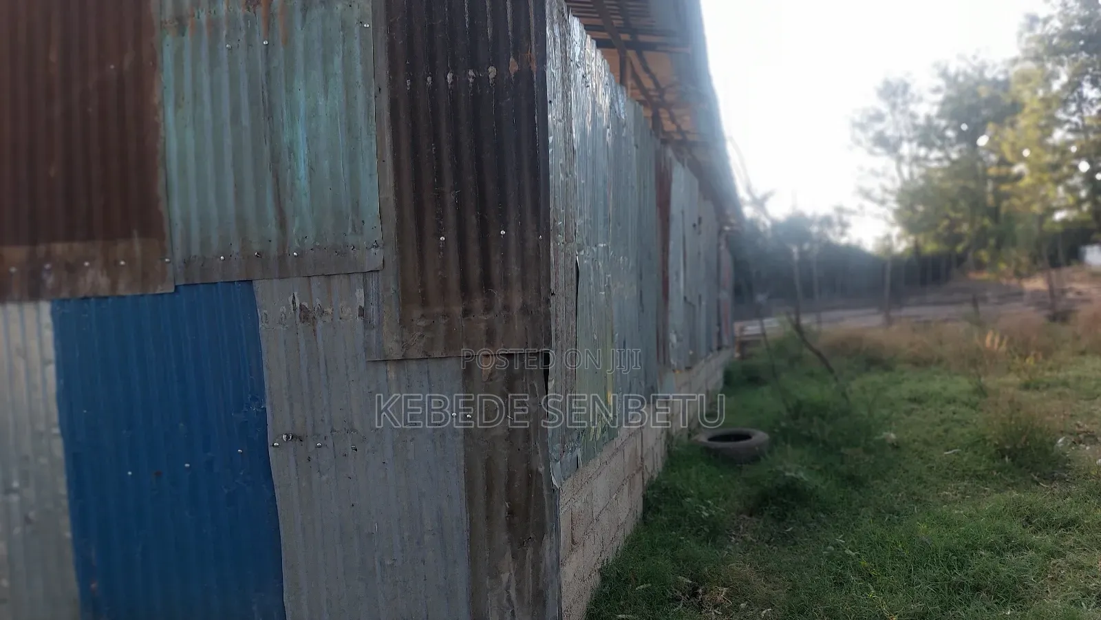 የከብት ማድለቢ Ware House