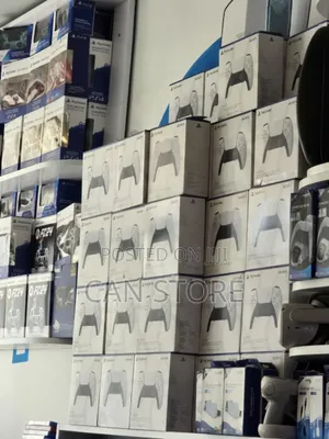 ፅድት ያለ Ps5 Controller