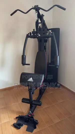 Multiple Home Gym