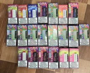 Vape Vozol 12,000 Puff With Variety Flavors