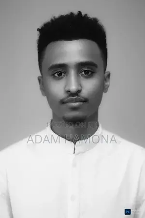 Graphics Designer