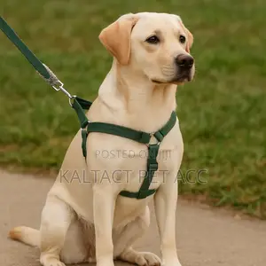 Dog Normal Addjustable Harness