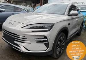 New BYD Song Plus DM-i 2025 Beige