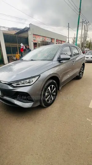 BYD E2 43 kWh 94 hp FWD 2025 Silver