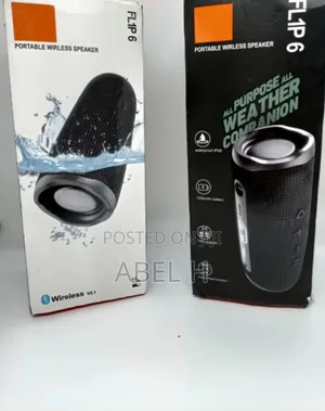 JBL Flip 6 Speaker