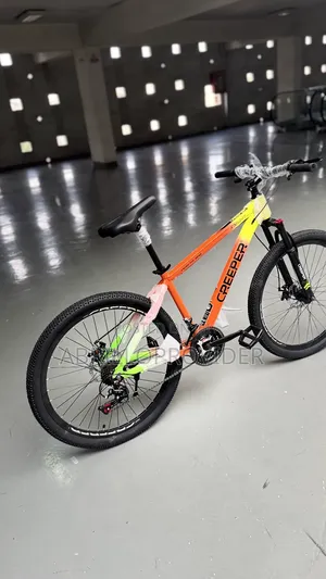 Folding Bicycle