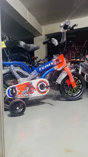 Folding Bicycle