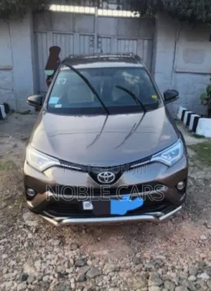 Toyota RAV4 2016 Brown