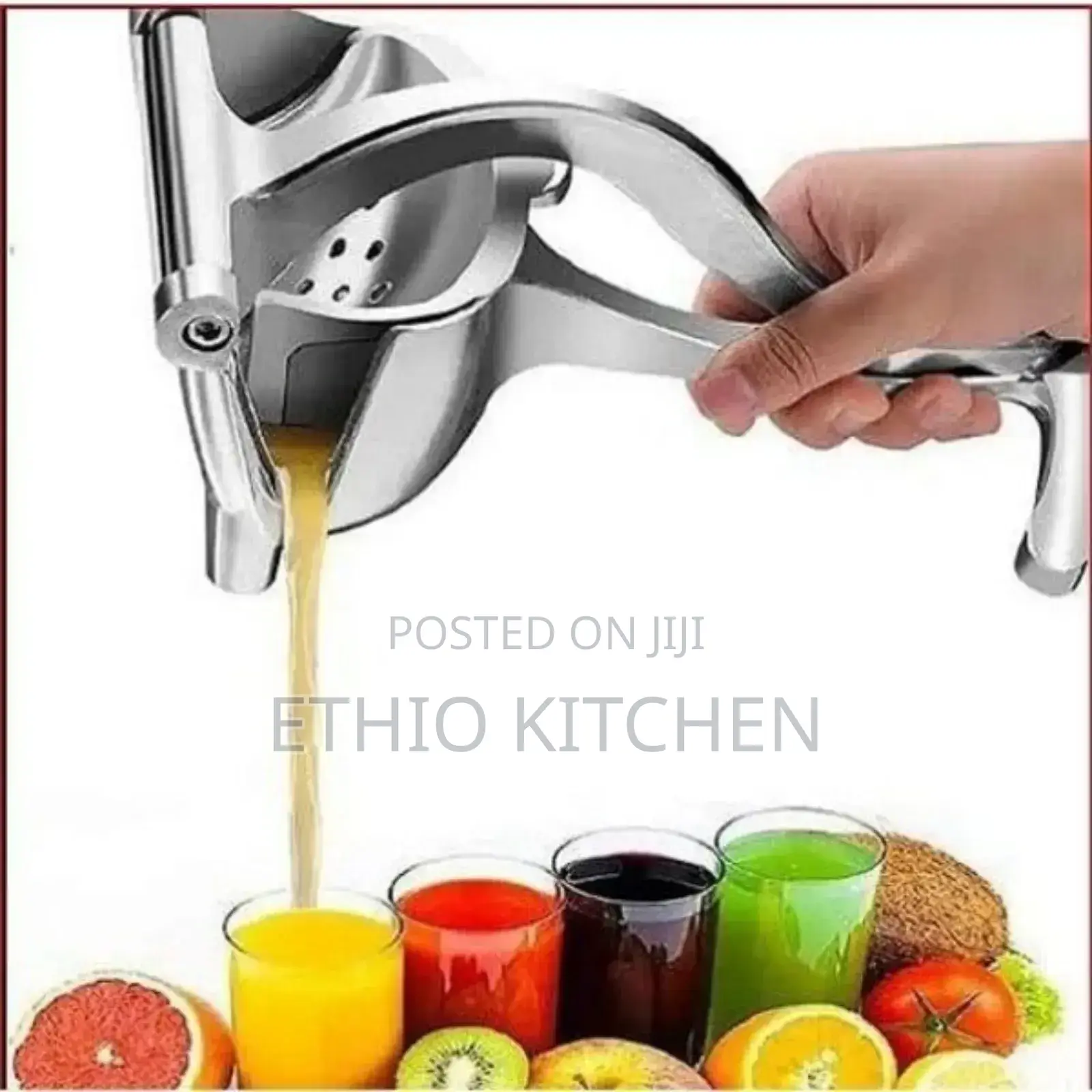 Manual Fruit Press