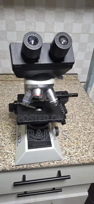 Olympus Microscope