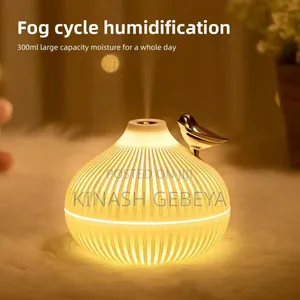High Quality Onion Shape Humidifier