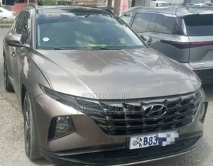 Hyundai Tucson 2021 Brown