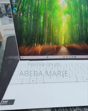 New Laptop Dell XPS 13 16GB Intel Core Ultra 7 SSD 512GB