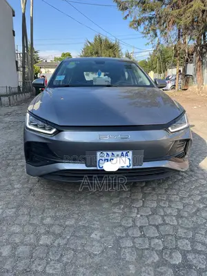 BYD E2 43 kWh 94 hp FWD 2024 Silver