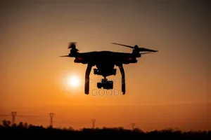 Professional Drone Services
