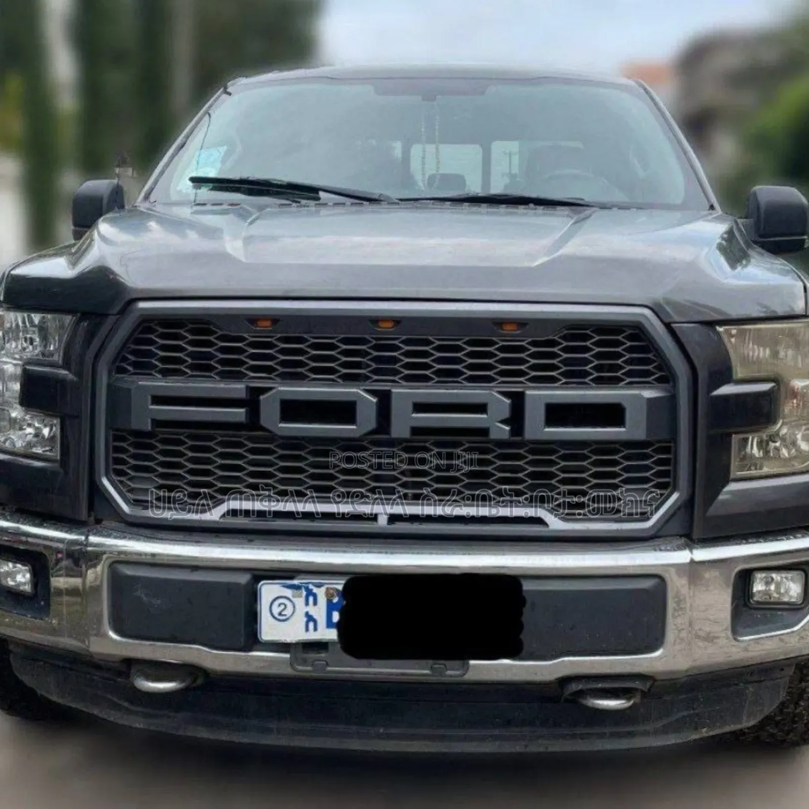 Ford F-150 2015 Gray