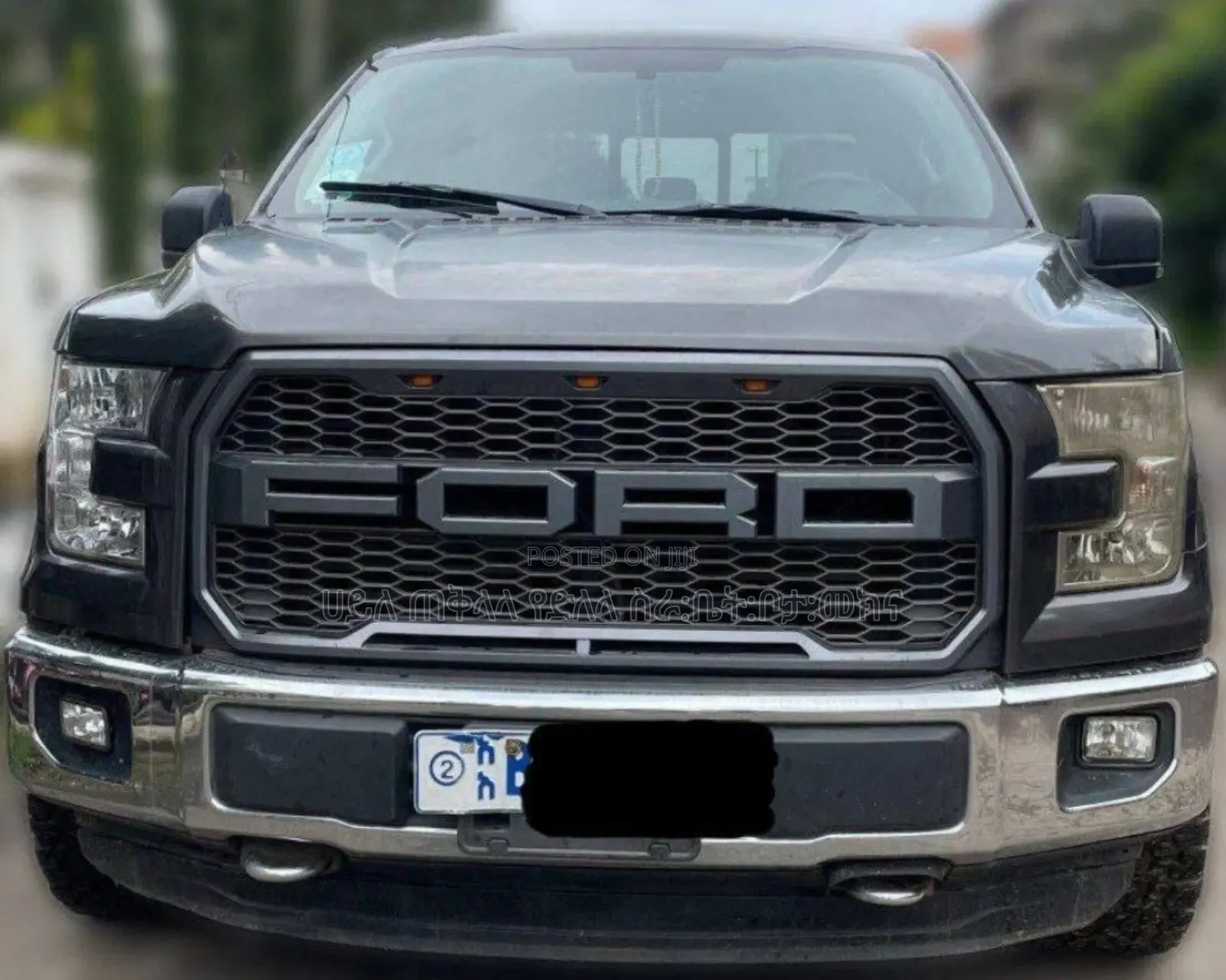Ford F-150 2015 Gray