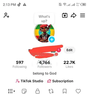 Tiktok Accounts