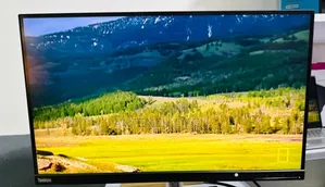 Dell Framless Monitor
