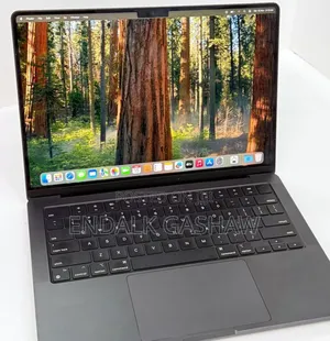 New Laptop Apple MacBook Pro 2024 M4 14-Inch 16GB Apple M4 SSD 512GB