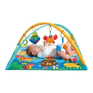 Multifunactional Baby Fitness Activity Frame Baby Awakening Mat