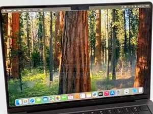 New Laptop Apple MacBook Pro 16GB Apple M4 SSD 512GB