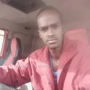 Heavy Truck Driver