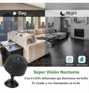 Mini Security Camera Dropped