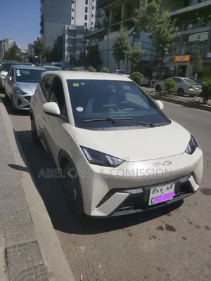 Byd Seagul 2024 for Rent